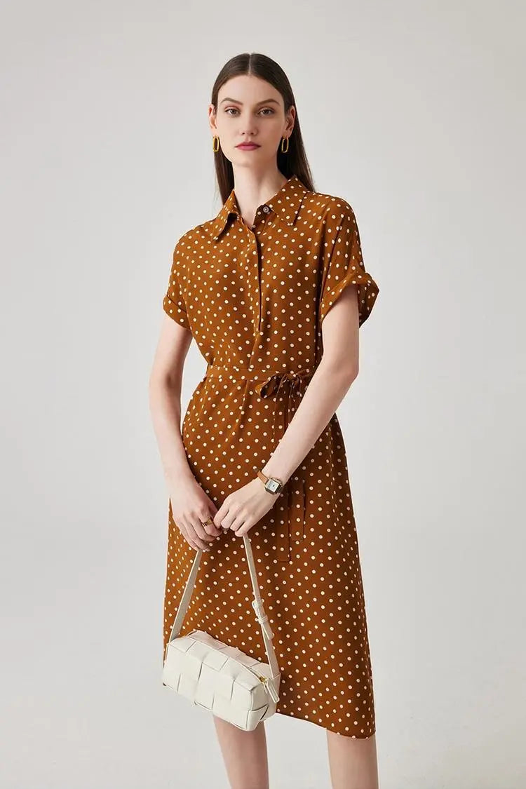 Women's Heavyweight Mulberry Silk Polka Dot Printed Silk Long Dress