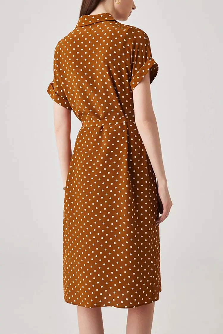 Women's Heavyweight Mulberry Silk Polka Dot Printed Silk Long Dress